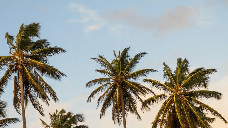 Credit Card - professional stock photography