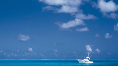 Graph - professional stock photography