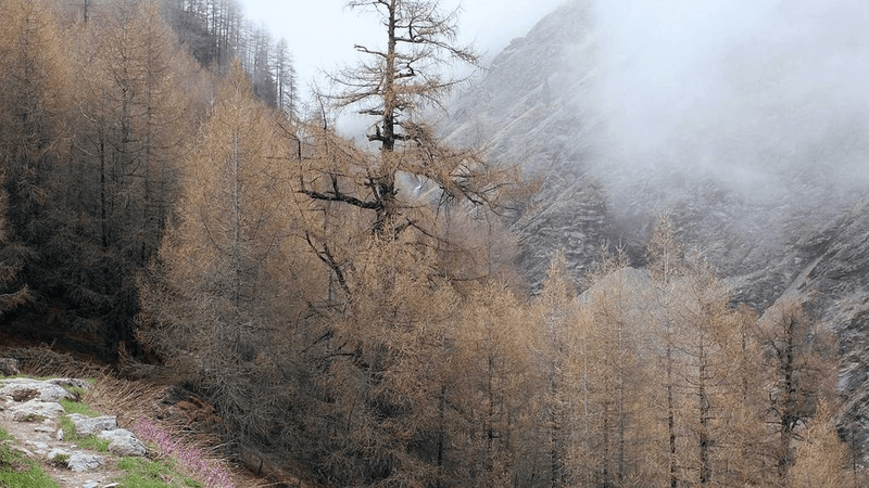 Graph - professional stock photography