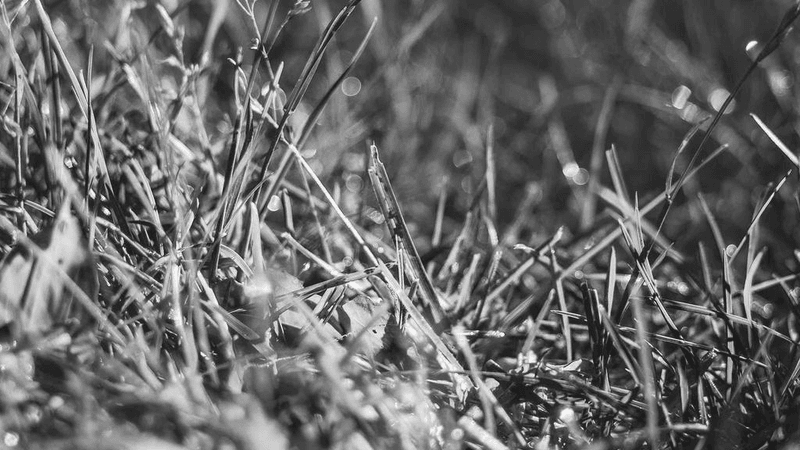 Investment - professional stock photography