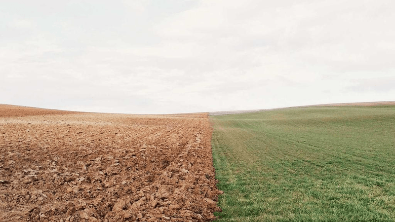 Money - professional stock photography