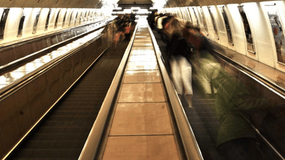 Piggy Bank - professional stock photography