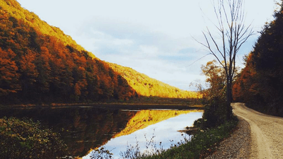 Stocks - professional stock photography