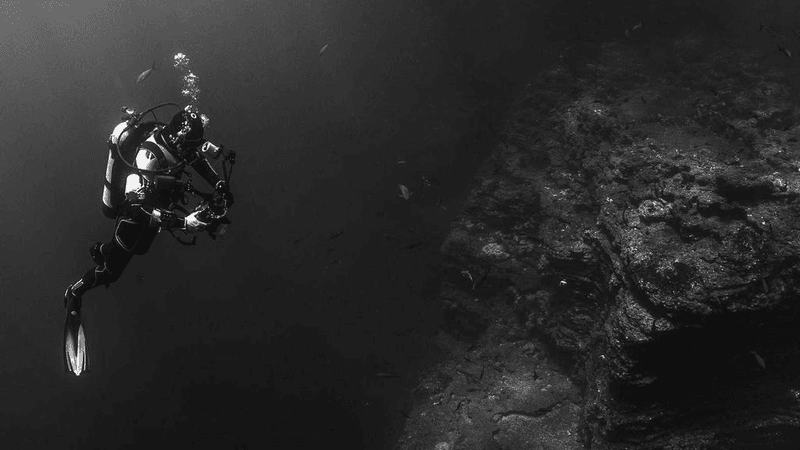 Trading - professional stock photography