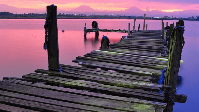 Wallet - professional stock photography